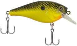 Berkley SquareBull 2 3/8 Inch Shallow Squarebill Crankbait -Reels And Baits Sales Berkley SquareBull Black Chartreuse 2017 alt2 2000