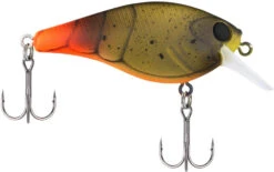 Berkley SquareBull 2 3/8 Inch Shallow Squarebill Crankbait -Reels And Baits Sales Berkley Squarebull FiretailGreenCraw 55 alt2 2000