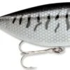 Storm Original Thinfin 08 Shallow-Medium Diving Crankbait -Reels And Baits Sales Black Crappie 690831c7 b3ec 4aed 9776 a96103246a0f