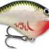 Rapala DT Series Crankbait DT Metal 20 -Reels And Baits Sales Bleeding Olive Shiner 0287737c f5dc 4d17 9618 01c620d69bbf