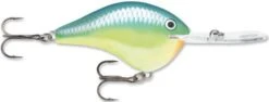 Rapala DT Series Crankbait DT Metal 20 -Reels And Baits Sales Carribean Shad 976175bd 013c 4951 be31 93e8e1c52f8c