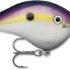 Rapala DT Series Crankbait DT16 -Reels And Baits Sales DT10 14 16 BGSD 73079a29 a409 4337 a470 62833f2a7c7a