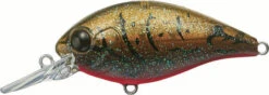 Evergreen International CR-6 Medium Diving Crankbait -Reels And Baits Sales EVG CR 6 216 Olive Crawdad