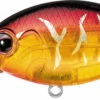 Evergreen International CR-6 Medium Diving Crankbait -Reels And Baits Sales Evergreen CR 019