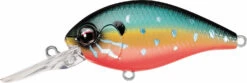 Evergreen International CR-16 Extra Deep Diving Crankbait -Reels And Baits Sales Evergreen CR 214 55568c19 6ae5 4a87 9784 b3ab2461a465