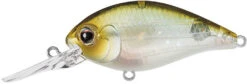 Evergreen International CR-16 Extra Deep Diving Crankbait -Reels And Baits Sales Evergreen CR 420 939c52dd 425c 4e84 9ad8 149ce828e06b