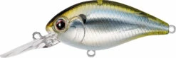 Evergreen International CR-6 Medium Diving Crankbait -Reels And Baits Sales Evergreen CR 426
