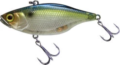 Jackall TN 60/70 Disc Knocker Lipless Crankbait -Reels And Baits Sales FishJackall TN Disk Knocker SG THREADFIN SHAD primary
