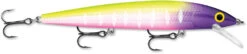 Rapala Husky Jerk 12 Jerkbait/Trolling Minnow -Reels And Baits Sales HJ12 14 MFT 30c50575 8d12 44fc 883c 4253fe262622