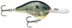 Rapala DT Series Crankbait DT16 -Reels And Baits Sales Live Bluegill 33de4d69 a516 4749 afce 604f7481303d