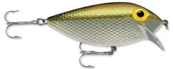 Storm Original Thinfin 08 Shallow-Medium Diving Crankbait -Reels And Baits Sales Metallic Silver Gold b26b2a74 dcff 456a b54f 9d9e7f507c3a