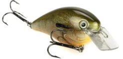 Strike King KVD Magnum Square Bill 8.0 Silent Crankbaits -Reels And Baits Sales Orange Bream 8d82629c 742b 46f0 8fc2 0fe360b975f3