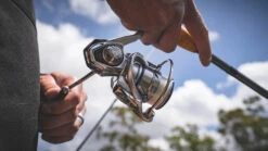 Daiwa Procyon MQ LT Spinning Reel -Reels And Baits Sales Procyon1Spot
