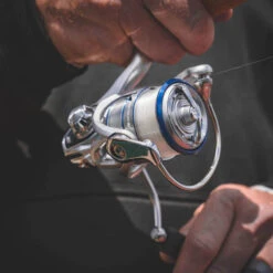 Daiwa Procyon MQ LT Spinning Reel -Reels And Baits Sales Procyon3Spot 1000x a9dd0fff 5484 484f ada8 569f03ffa72b