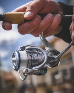 Daiwa Procyon MQ LT Spinning Reel -Reels And Baits Sales Procyon5Spot