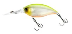 Hardcore Crank 70F 3+ Deep Diving Crankbait -Reels And Baits Sales R1376 CRANK 3 70F GPCL