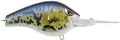 SPRO Fat Papa 70 Deep Diving Crankbait -Reels And Baits Sales SBD70GBY GOBY dd456962 fa34 4711 8dde 7ee06867a9f7
