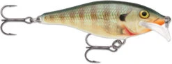 Rapala Scatter Rap Shad 07 Medium Diving Crankbait -Reels And Baits Sales SCRS BG