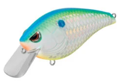 SPRO Hunter 65 SB Shallow Squarebill Crankbait -Reels And Baits Sales SEHTRSB65CSD CitrusShad