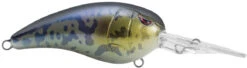 SPRO Mike McClelland RkCrawler 55 Deep Diving Crankbait -Reels And Baits Sales SRC55GBY Goby c2787619 c747 4b9e 81ad 017876521898
