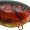 SPRO Mike McClelland RkCrawler 55 Deep Diving Crankbait -Reels And Baits Sales SRC55RCW RedCraw 49512293 c228 4676 a8b0 14e799e36523