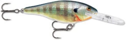 Rapala Shad Rap 3 1/8 Inch Deep Diving Crankbait SR08 -Reels And Baits Sales SR BG 2072b5da 4ba7 49d1 91cb a2f795506bfc