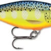 Rapala Shad Rap 3 1/8 Inch Deep Diving Crankbait SR08 2 Rapala Shad Rap 3 1/8 Inch Deep Diving Crankbait SR08 -Reels And Baits Sales SR HS bf2034ff 9a06 4b1f a74b 694aa4b53d81