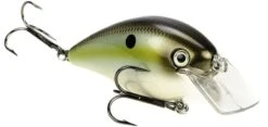 Strike King KVD Magnum Square Bill 8.0 Silent Crankbaits -Reels And Baits Sales Summer Sexy Shad 3623d4eb ae13 4861 8c40 d7ddf2ba33a9