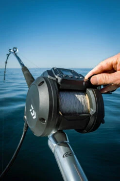 Daiwa Tanacom 800 Power Assist Electric Dendoh Reel -Reels And Baits Sales TANACOM 800 41