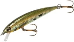 Rebel TD47 Tracdown Ghost Minnow 2 1/2 Inch Barbless Hard Minnow -Reels And Baits Sales TD47542