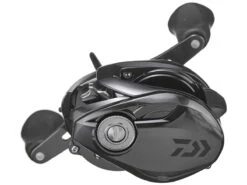 Daiwa Tatula 300 TWS Baitcasting Reels -Reels And Baits Sales daiwa tatula 300 tws 04