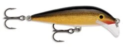 Rapala SRCD07 Scatter Rap Countdown 07 Balsa Minnow -Reels And Baits Sales gold 964c47e3 8c9d 4d6b 8cb9 47d6f6a6698c