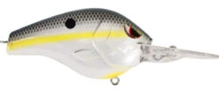 SPRO Fat Papa 70 Deep Diving Crankbait -Reels And Baits Sales nast shad