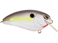 SPRO John Crews Fat John 60 Shallow Crankbait -Reels And Baits Sales nasty shad