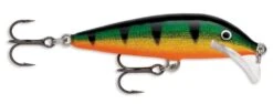 Rapala SRCD07 Scatter Rap Countdown 07 Balsa Minnow -Reels And Baits Sales perch e4fa1e92 040f 41b2 97a5 7e25cb6229df