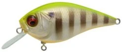 Megabass Knuckle LD Silent Crankbait 2 1/3 Inches -Reels And Baits Sales pm 2Bhot 2Bgill