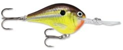 Rapala DT Series Crankbait DT16 -Reels And Baits Sales rapala dt10 hot mustard 847d0a2c 2be5 48b6 ab17 11f103d1180d