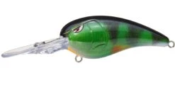 SPRO Mike McClelland RkCrawler 55 Deep Diving Crankbait -Reels And Baits Sales rs 8 82b68ad9 a98c 432b bb18 82168b4c08f4