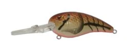 SPRO Mike McClelland RkCrawler 55 Deep Diving Crankbait -Reels And Baits Sales spro rkcrawler mud bug 6061e792 0f33 460d 8629 f54528c12c72