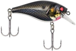Berkley SquareBull 2 3/8 Inch Shallow Squarebill Crankbait -Reels And Baits Sales squarebull black silver a43ada4f f3fc 4f83 abd8 116ee7b133b0