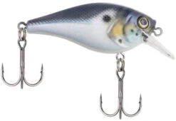 Berkley SquareBull 2 3/8 Inch Shallow Squarebill Crankbait -Reels And Baits Sales squarebull blue black 785f5c02 8d74 4391 8cff efb332981a52