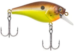 Berkley SquareBull 2 3/8 Inch Shallow Squarebill Crankbait -Reels And Baits Sales squarebull brown mustard 81da5849 8ea2 4f4e b46f 0980ead1b2b1