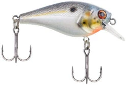 Berkley SquareBull 2 3/8 Inch Shallow Squarebill Crankbait -Reels And Baits Sales squarebull sexier shad 1d609b07 b72e 43cb ae5f 8f3b1f1c079e