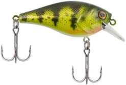 Berkley SquareBull 2 3/8 Inch Shallow Squarebill Crankbait -Reels And Baits Sales squarebull yellow perch 08cc63df 2824 4d70 8487 3e7beebcaa15