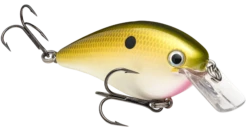 Strike King KVD Magnum Square Bill 8.0 Silent Crankbaits -Reels And Baits Sales tn shad